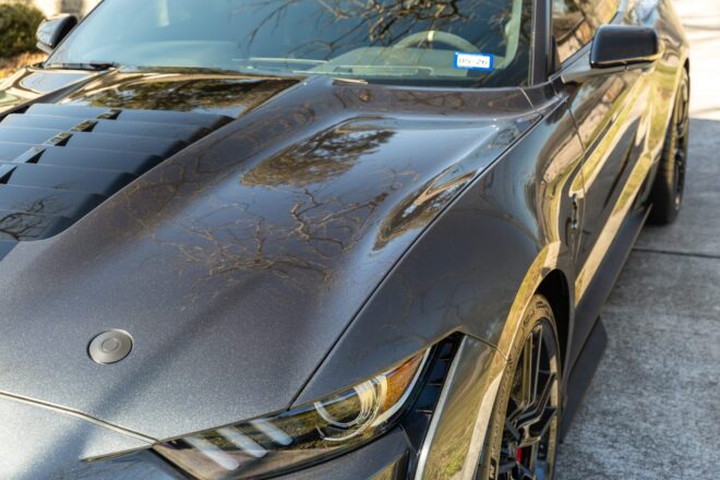 Louvered Hood des 2020 Ford Mustang Shelby GT500