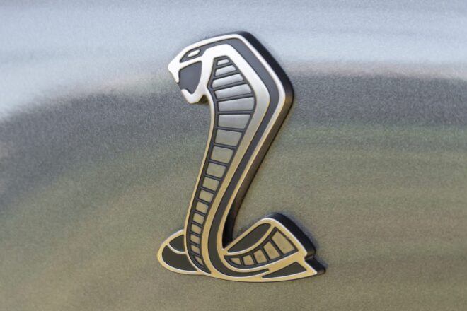 Shelby-Cobra-Emblem am 2020 Ford Mustang GT500